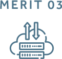 MERIT 03