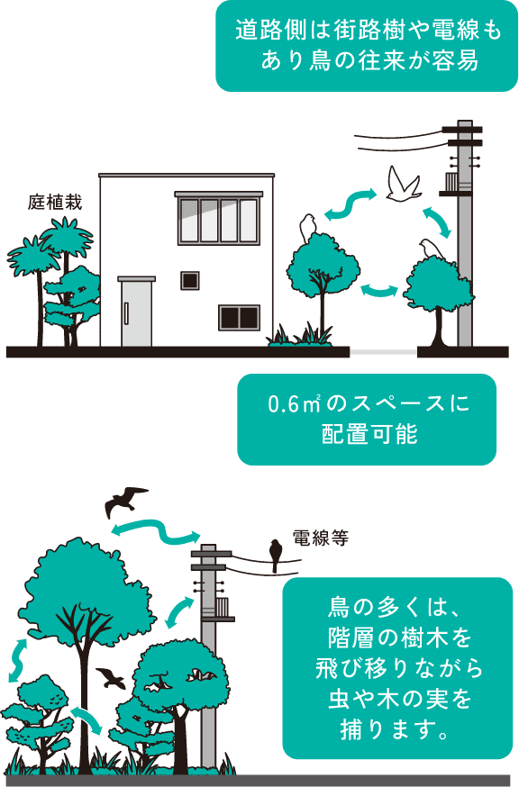 道路側は街路樹や電線もあり鳥の往来が容易。0.6m²のスペースに配置可能。鳥の多くは、階層の樹木を飛び移りながら虫や木の実を捕ります。