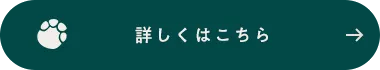 詳しくはこちら