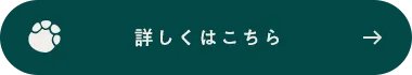詳しくはこちら