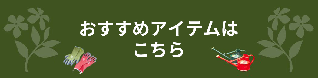 おすすめアイテムはこちら