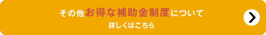 その他お得な補助金制度について 詳しくはこちら