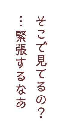 そこで見てるの？…緊張するなあ