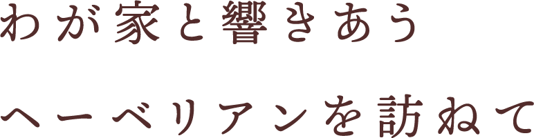 リビングを変えると人生が変わる。LDKから始まる2度目の家づくり。