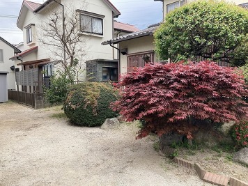 庭