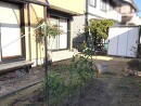 お庭