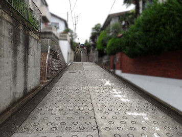 前面道路（東側）
