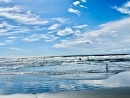 鵠沼海岸