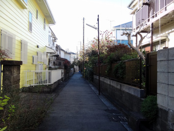 前面道路（南側）