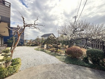 庭