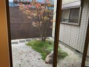 坪庭