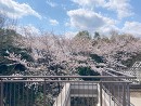 屋上から