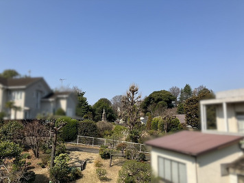 眺望