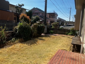 庭