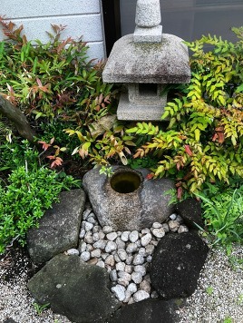 庭