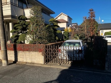 庭