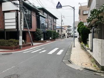 前面道路(東)