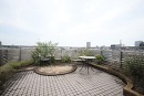 屋上