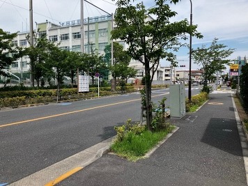 前面道路(南西側)