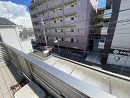 屋上・眺望