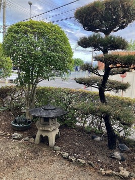 庭
