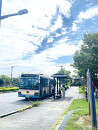 芦屋市総合公園前バス停(徒歩5分)
