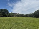 蕨市民公園